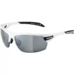 Alpina PERFORMANCE Sportbrille